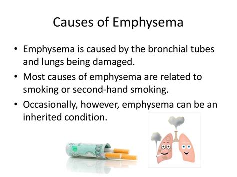 Emphysema - Symptoms & Causes: A Quick Overview