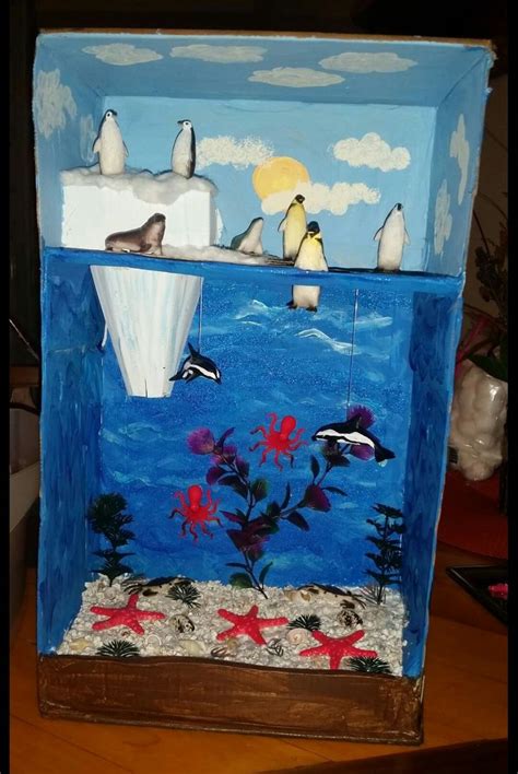 Arctic Habitat Diorama 2nd grade project | Harp seal | Ecosystems projects, Arctic habitat ...