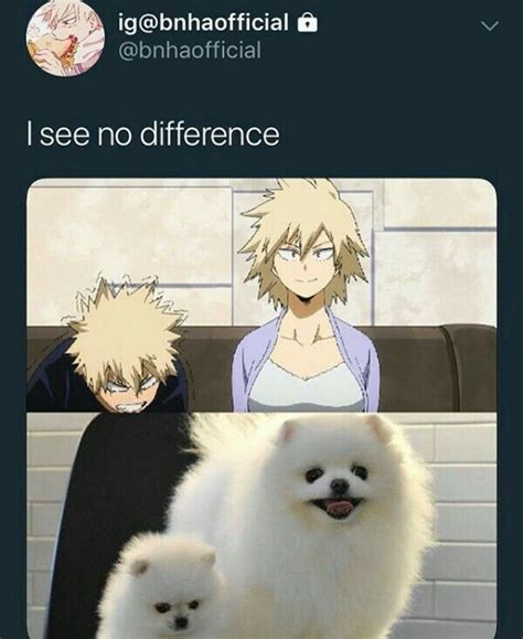 bakugou's mother dogs boku no hero academia bnha | My hero academia memes, Anime memes funny ...