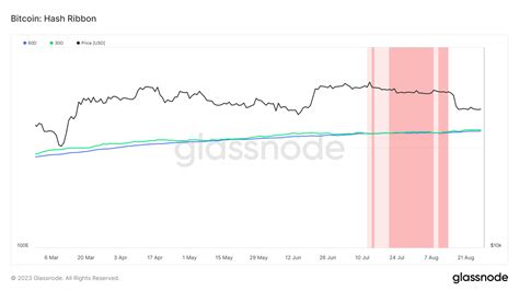 BlackRock’s Move Highlights Its Confidence in the Bitcoin Sector ...