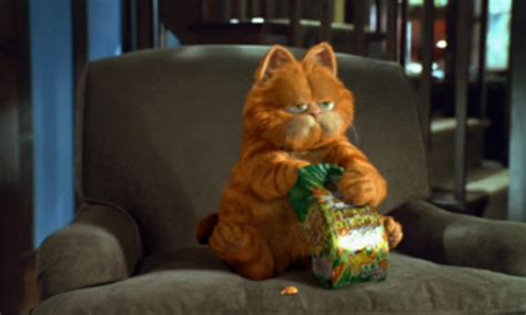 Garfield The Movie