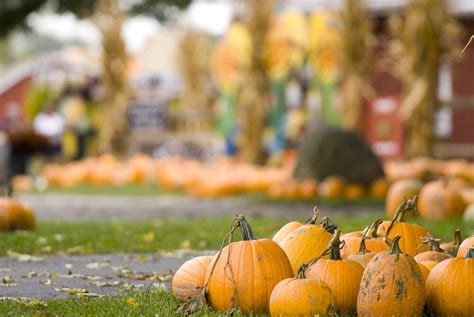 8 Fall Harvest Festivals Across the USA | En Route | US News