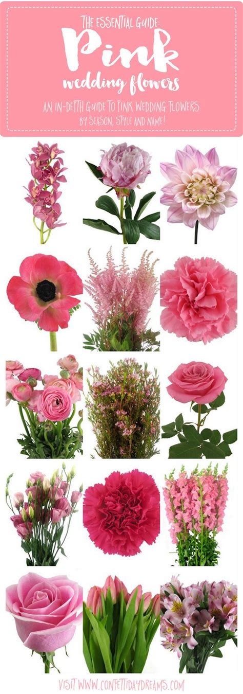 Essential Pink Wedding Flowers Guide: Names, Seasons + Pics | Wedding ...