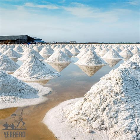 Yerbero - Premium Gourmet Bulk Colima Sea Salt Unrefined (Multiple Siz