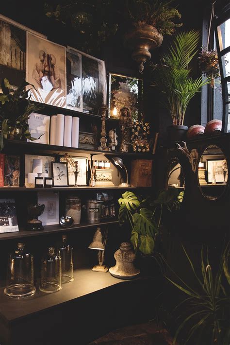 Cosy Corner of the Shop. Dark Interiors, house plants and bookshelves | Dark interior house ...