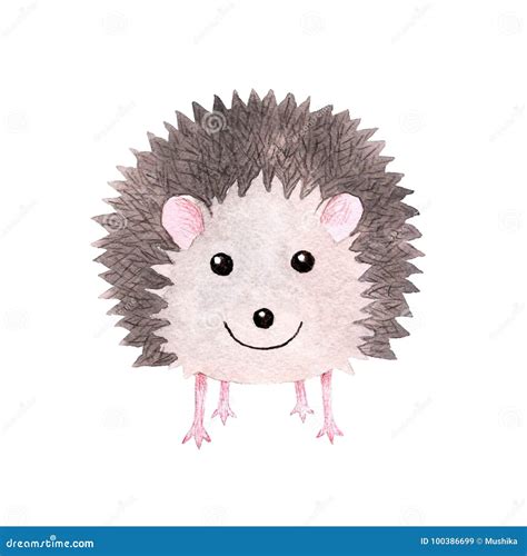 Cute Smiling Watercolor Hedgehog Stock Illustration - Illustration of mild, delicate: 100386699