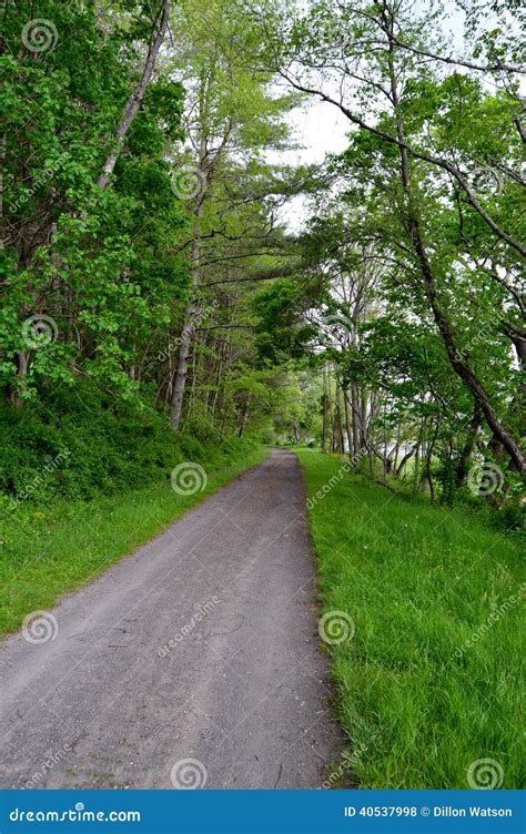 Country Road stock photo. Image of road, dirty, dirt - 40537998