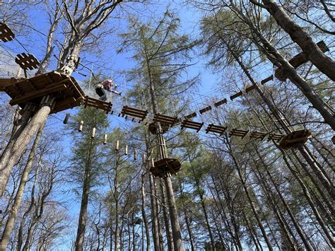 Top 15 Best High Rope Courses in the UK for Families: Detailed Guide – You need to visit ...