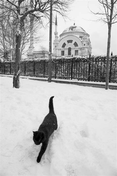 Winter of Istanbul on Behance