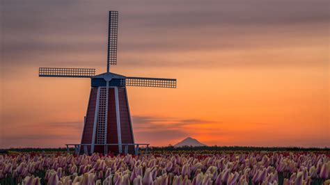 Windmill Man Made 4K 5K HD Travel Wallpapers | HD Wallpapers | ID #33484