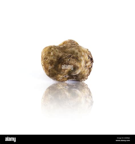 Alba italy truffle Cut Out Stock Images & Pictures - Alamy