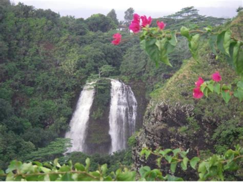 Mount Waialeale Rainforest Hike (Easy to Moderate), Kauai tours & activities, fun things to do ...