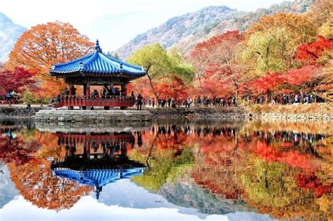 MT. Naejang Autumn Foliage and Jeonju Hanok village 1 Day Tour