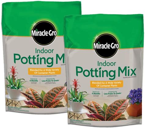 The Best Soil For Indoor Plants (Every Kind Of Plant)