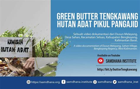 Green Butter Tengkawang from Pikul Pangajid Forest | Samdhana.org