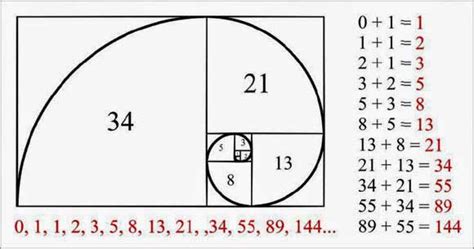 Cara menggunakan Fibonacci untuk forex - Forex.id