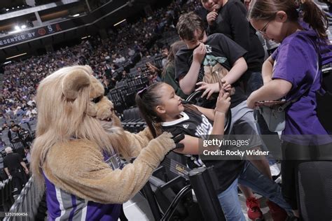 Mascot Slamson the Lion of the Sacramento Kings poses for a photo ...