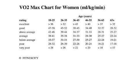 Can VO2 Max Testing Predict Your Risk of Cardiac Events? | DEXA Scan ...