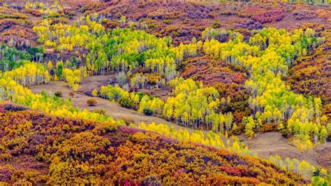 Colorado Fall Colors 2018 - San Juan Mountains and West Elk Mountains — Rick Louie Photography ...