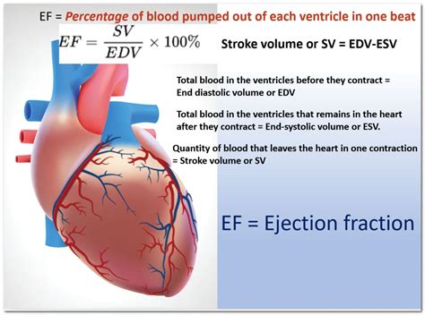 Calculate Left Ventricular Ejection Fraction