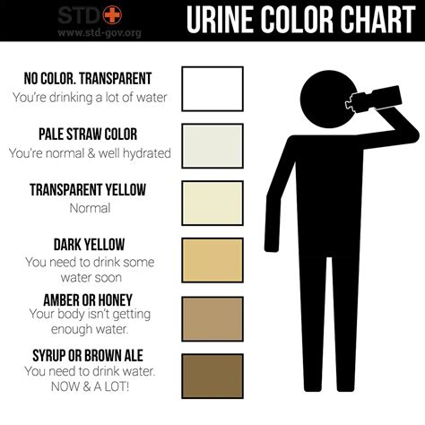 Dark Urine | Causes, What Does it Mean, What to Do, FAQs