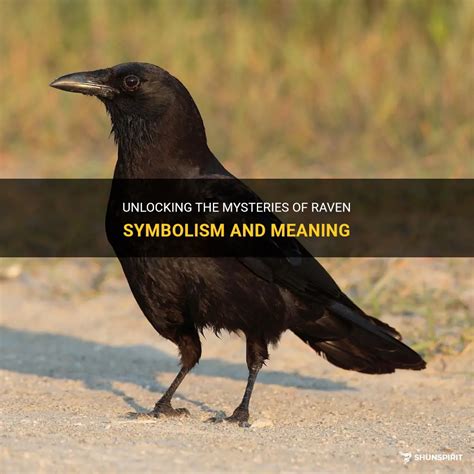 Unlocking The Mysteries Of Raven Symbolism And Meaning | ShunSpirit