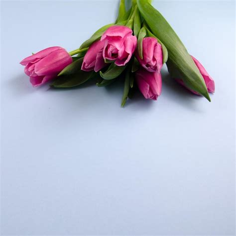 Premium Photo | Bunch of pink tulips bouquet spring summer easter fresh ...