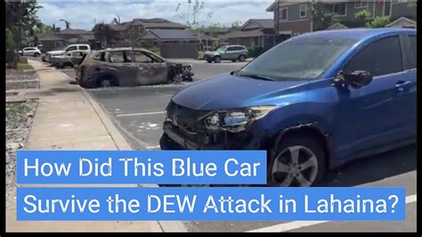 How Did Blue Cars Survive the Maui Lahaina Laser Torching? (It Appears ...