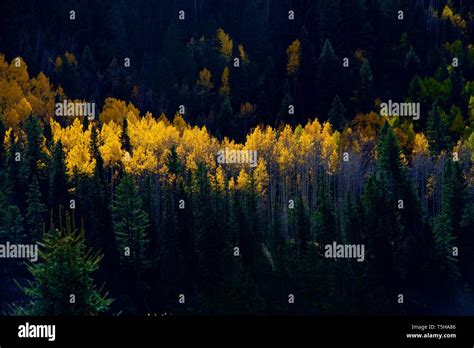 Fall Foliage in Telluride, Colorado Stock Photo - Alamy