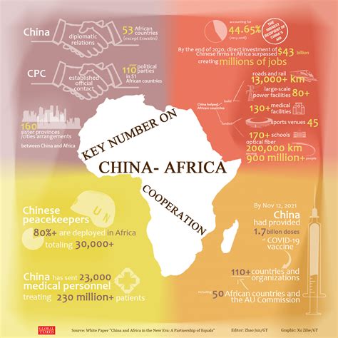 China, Africa further cement ties - Global Times