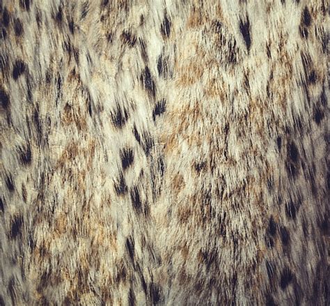 Premium Photo | Close up leopard spot pattern