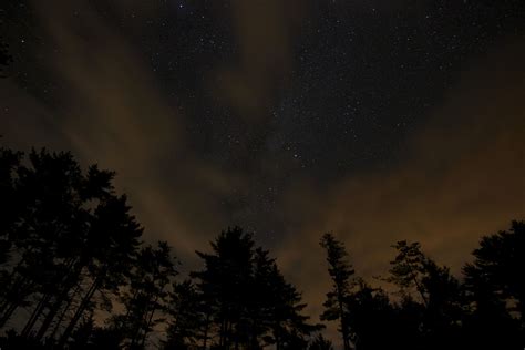 Free picture: night landscape, stars, night, trees, clouds