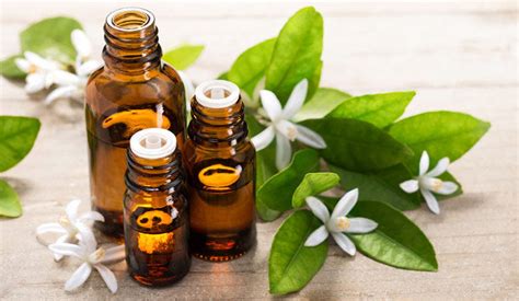 Aromatherapy Massage Course – flawlessmomentseducation