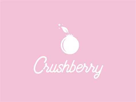 Berry Logo by Khuki Akther on Dribbble