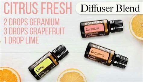 Fresh citrus diffuser blend | Diffuser blends, Doterra grapefruit ...