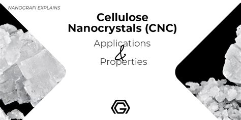 Cellulose Nanocrystals (CNC), Applications and Properties - Nanografi Nano Technology