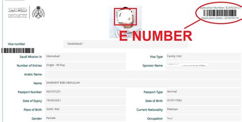 SAUDI IQAMA HELPER: CHECK YOUR VISA E NUMBER (MOFA NUMBER) ONLINE SAUDI ...
