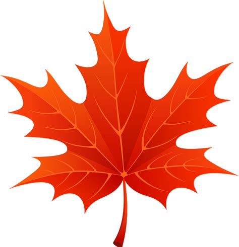 Red maple leaf clipart. Free download transparent .PNG | Creazilla