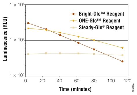 Promega ONE-Glo Luciferase Assay System:Protein Analysis Reagents:Gene | Fisher Scientific