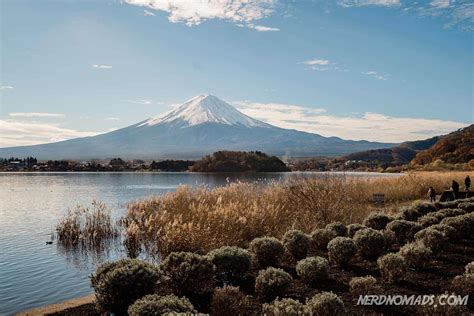 The Ultimate Travel Guide To Mt Fuji Five Lakes - Kawaguchi - Nerd Nomads