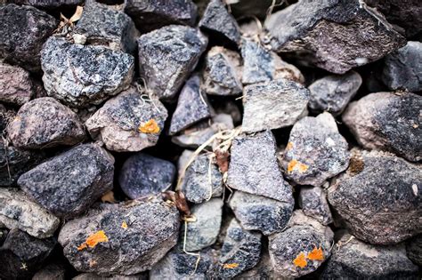 What's your mule? Trekking Colca Canyon in Peru. • Choosing Figs