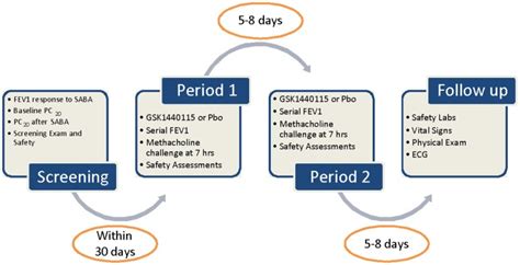 Study schematic. SABA, short acting β2 agonist. | Download Scientific ...