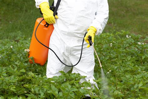 The end of Glyphosate in Europe? Perspective and alternatives - Alcimed