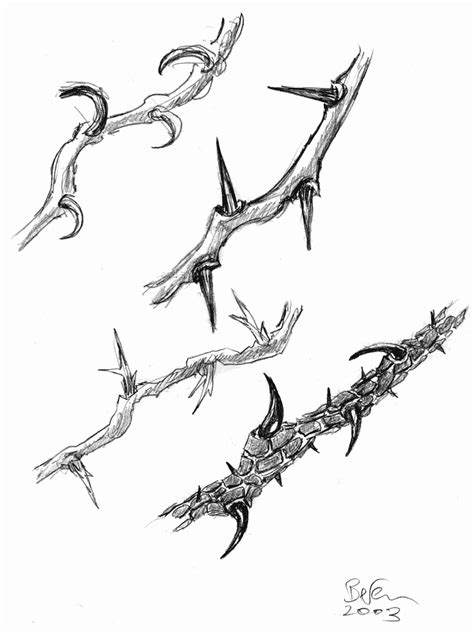 http://www.castleofthorns.com/mo/concepts/thorns.gif Tattoo Design Drawings, Tattoo Sketches ...