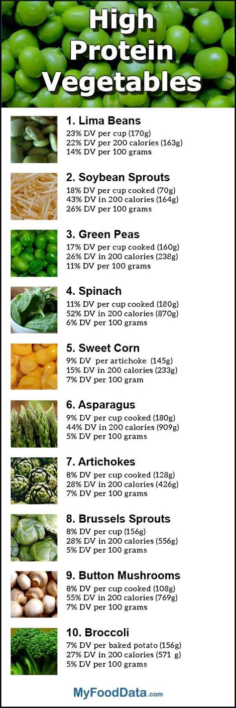 Top 10 Vegetables Highest in Protein | High protein vegetables, Workout ...