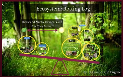 Ecosystem: Rotting Log by Drewmore Moon on Prezi