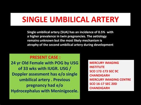 Single umbilical artery | PPT