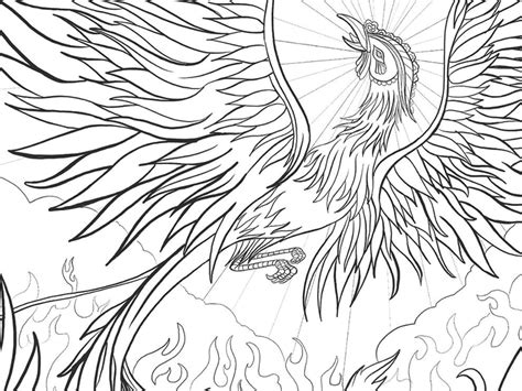 Phoenix Coloring Page by Ben Lew on Dribbble