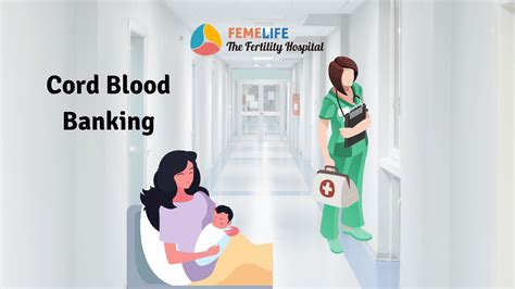 Cord Blood Banking: Is Storing Stem Cell Useful? | FEMELIFE