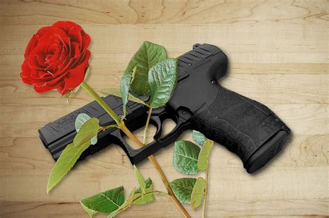 HD wallpaper: pistol, rose, gun, weapon, co2, rose - flower, plant, high angle view | Wallpaper ...